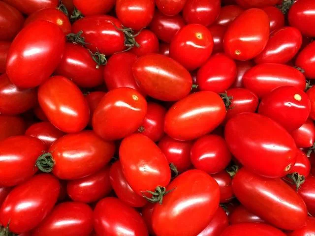 Čerstvá hromada červených rajčat cherry plná lesku.