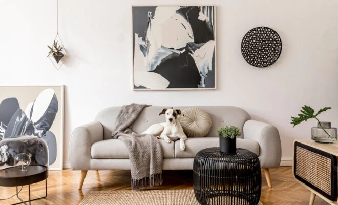 Luxury living room interior with dog