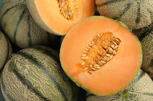 Polovička melounu cantaloup s viditelnými semínky obklopená celými plody.