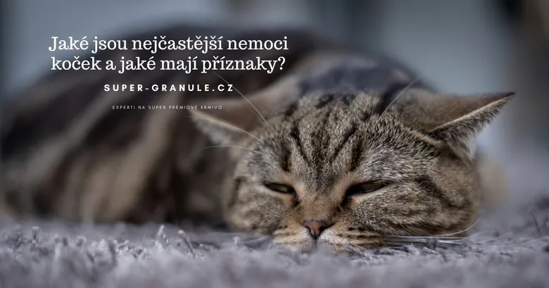 Spící šedohnědá kočka s proužky leží na měkkém povrchu.