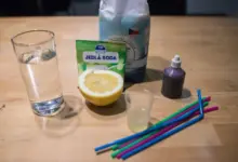 Složení pro domácí výrobu sodovky: voda, jedlá sóda, citronová šťáva.