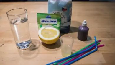 Složení pro domácí výrobu sodovky: voda, jedlá sóda, citronová šťáva.