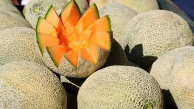 Krájený meloun cantaloup s oranžovou dužinou mezi celými plody.