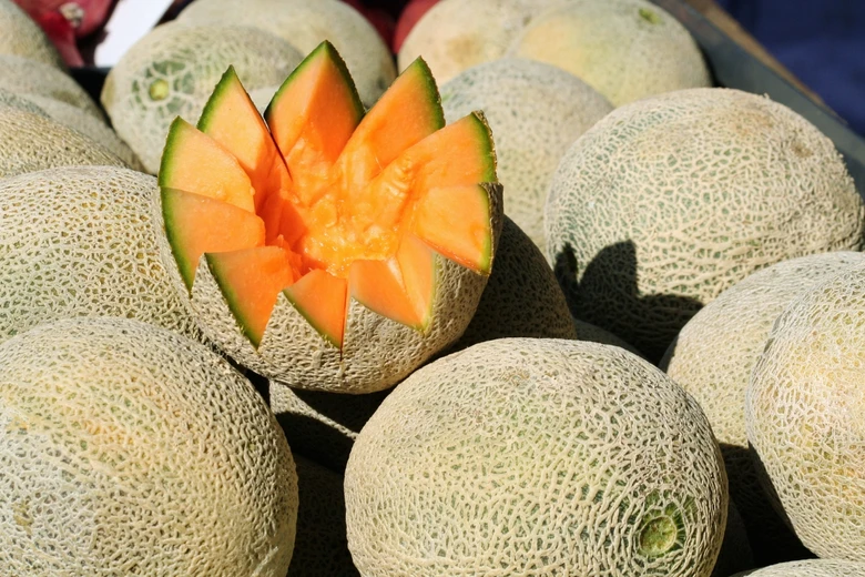 Krájený meloun cantaloup s oranžovou dužinou mezi celými plody.