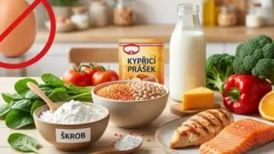 Výroba bez vaječných náhrad s obilovinami, zeleninou a masem pro alergie.