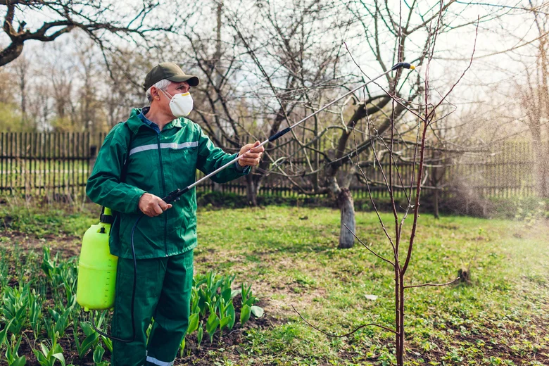 Muž v ochranném obleku postřikuje stromy pesticidy.