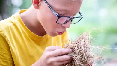 Chlapec s brýlemi drží v ruce svazek suché trávy.