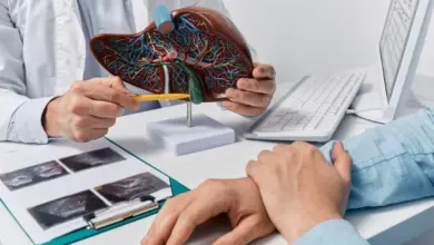 Lékař ukazuje pacientovi model jater při konzultaci.