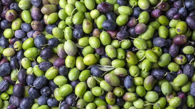 Fresh olives mixed green and black