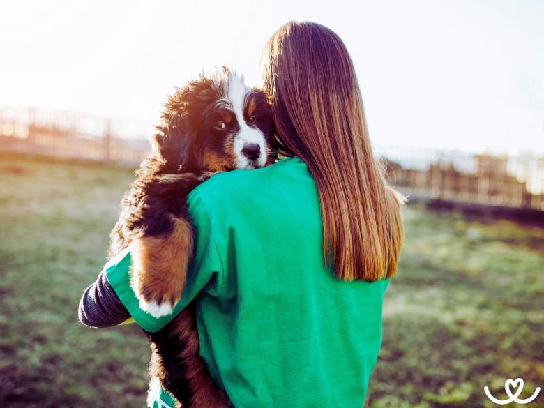Žena drží adoptovaného bernského horského štěněte venku na trávníku.