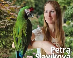 Žena drží zeleného amazónka na paži v zahradě.